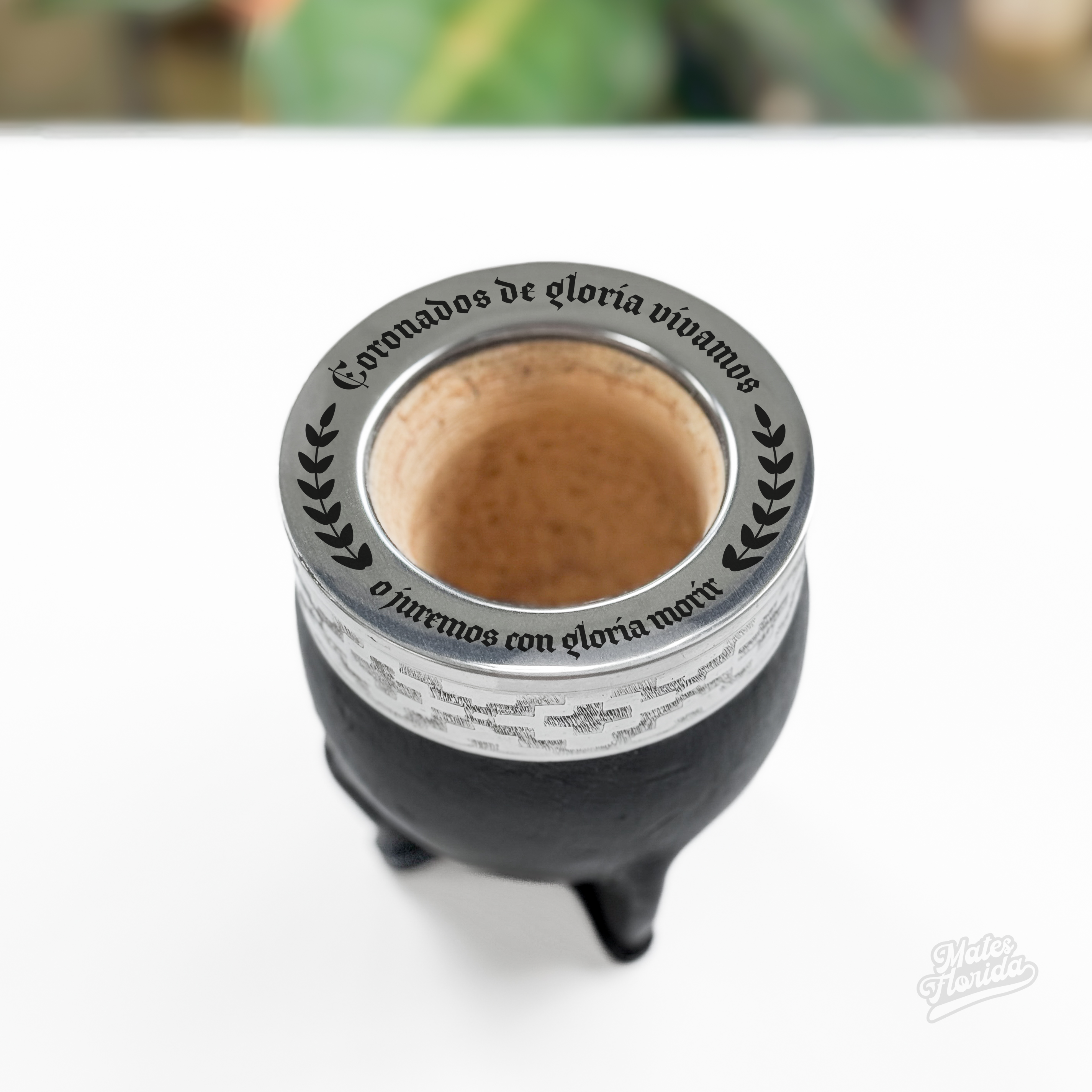 Coronados_1.png?v=1753728905