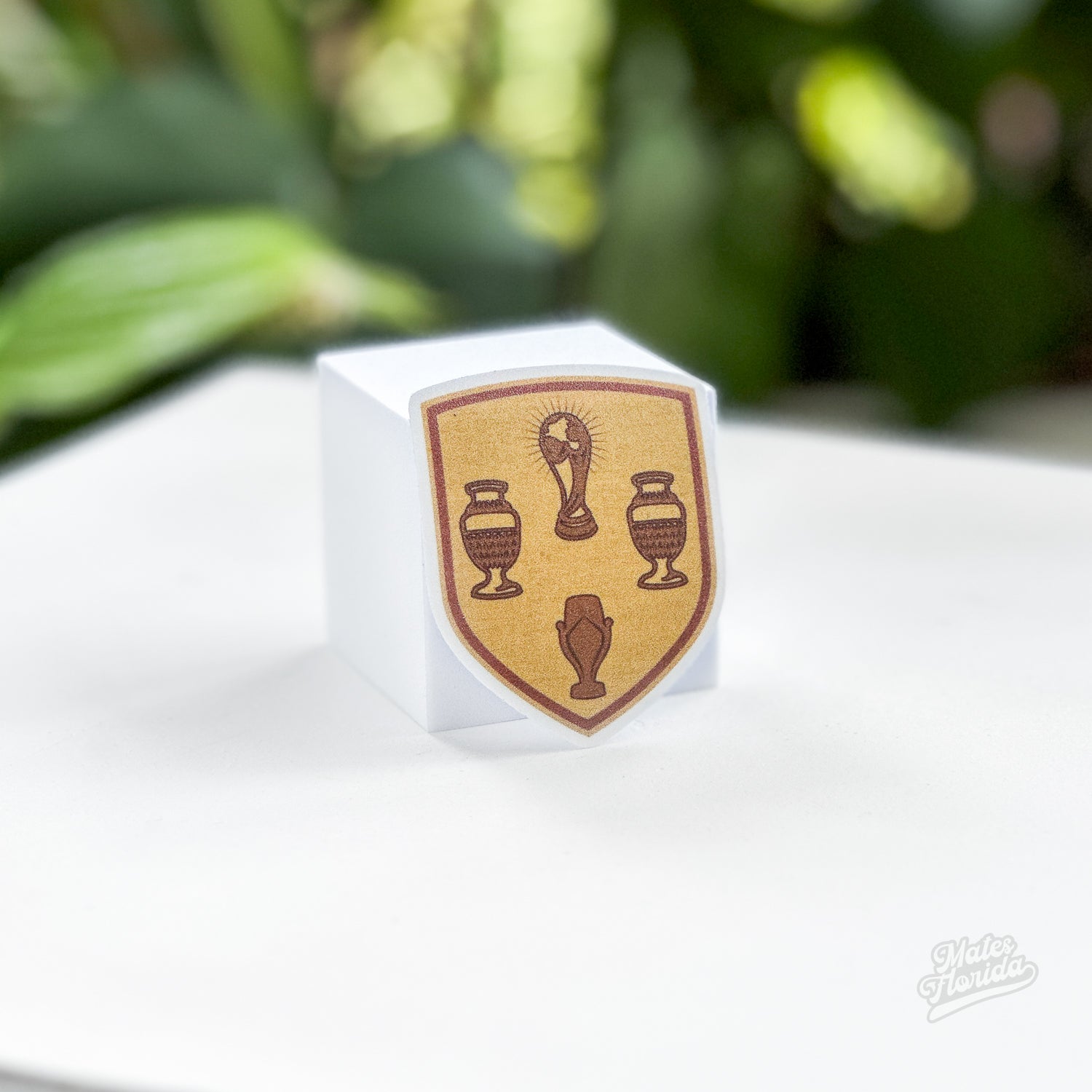 AFA Cup Patches Sticker