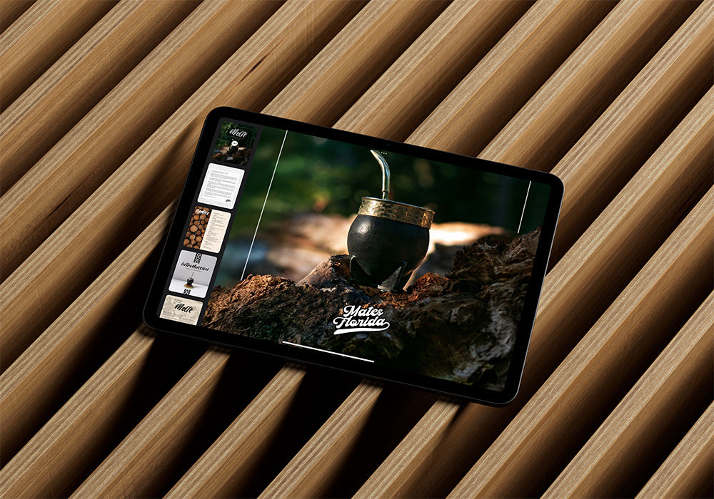Tu Primer Mate eBook